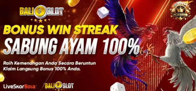 BONUS WIN STREAK SABUNG AYAM